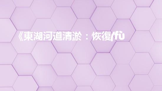 《東湖河道清淤：恢復(fù)水域生態(tài)，保障城市安全》